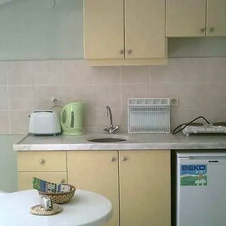 Palma マルマリス