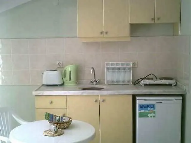 Palma マルマリス